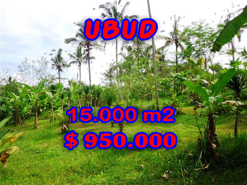 Land-for-sale-in-Bali