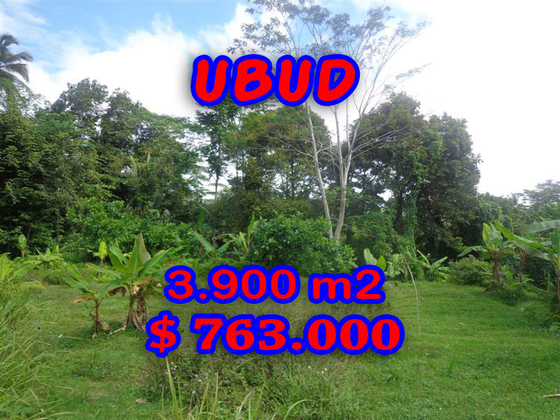 land-for-sale-in-Ubud-Bali