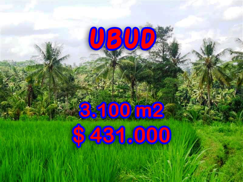 Land-sale-in-Ubud-Bali