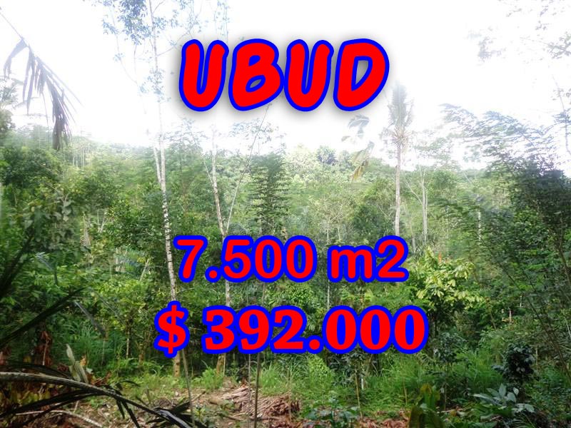 Land sale in Ubud Bali