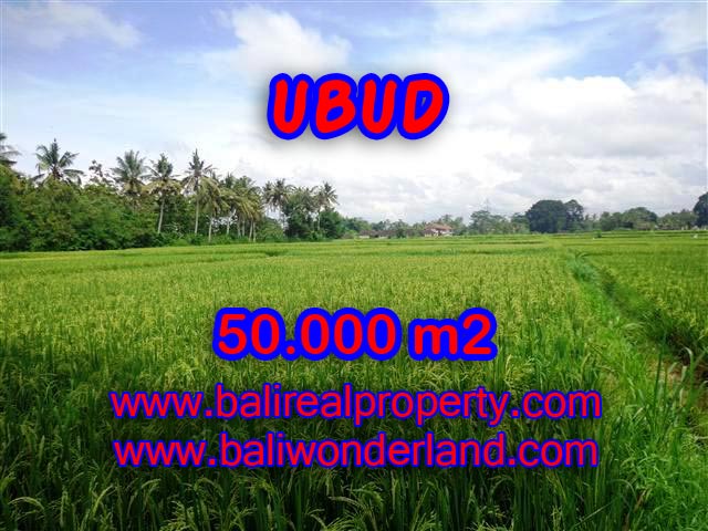 Extraordinary Land for sale in Ubud Bali, paddy view by the river in Central Ubud – TJUB351
