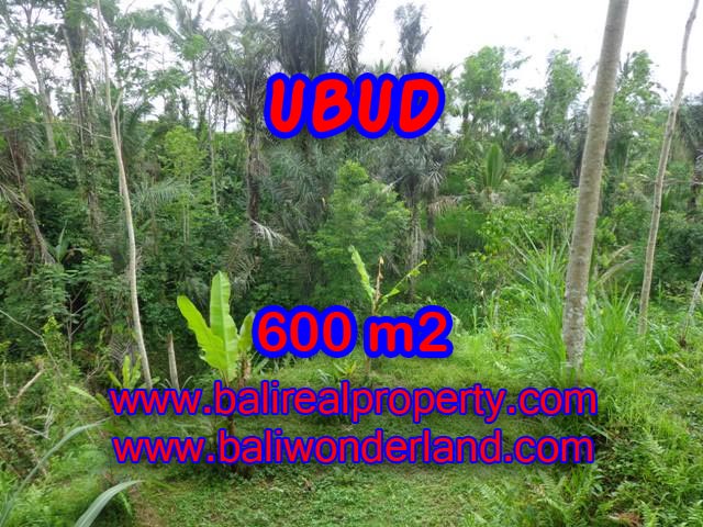 Interesting Land for sale in Ubud Bali, paddy field view in Ubud Tegalalang– TJUB346