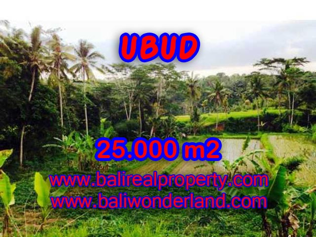 Land in Ubud for sale, Outstanding view in Central Ubud Bali – TJUB350