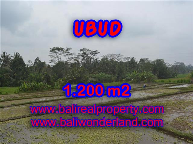 Land in Ubud for sale, Amazing view in Ubud Payangan Bali – TJUB360