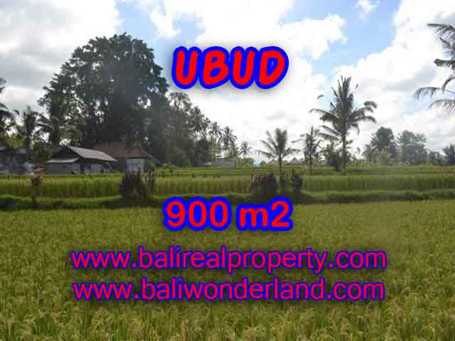 Outstanding Property for sale in Bali, land for sale in Ubud Bali – TJUB412