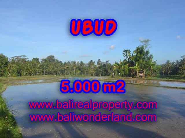 Wonderful Property in Bali for sale, land in Ubud Bali for sale – TJUB413