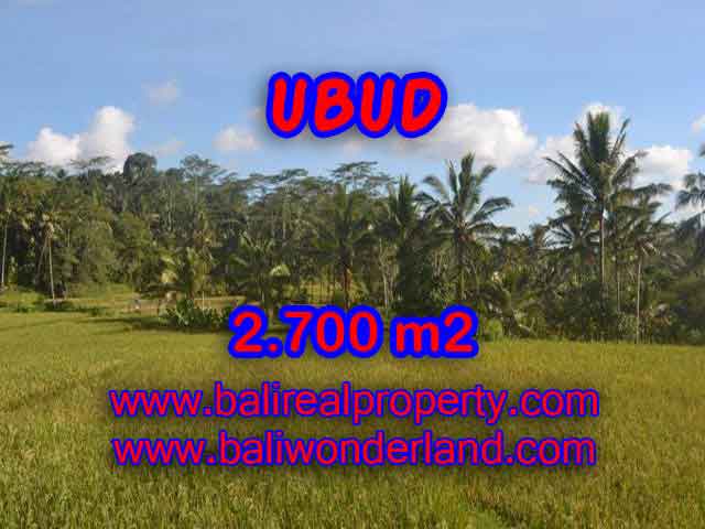 Outstanding Property in Bali for sale, land in Ubud for sale – TJUB414