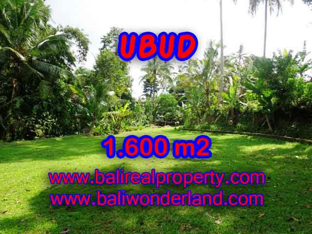 Beautiful Property for sale in Bali, land for sale in Ubud  – TJUB416