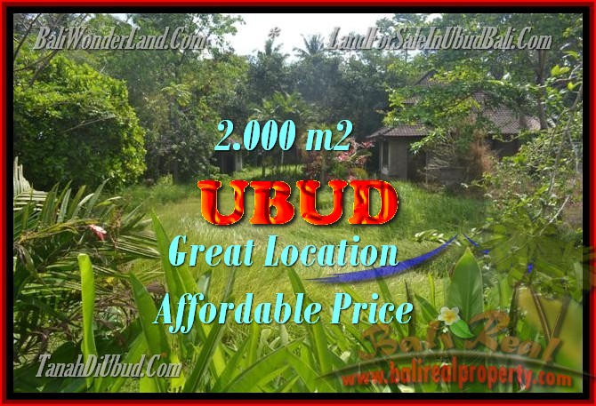 Exceptional Property in Bali, land for sale in Ubud Bali – TJUB429