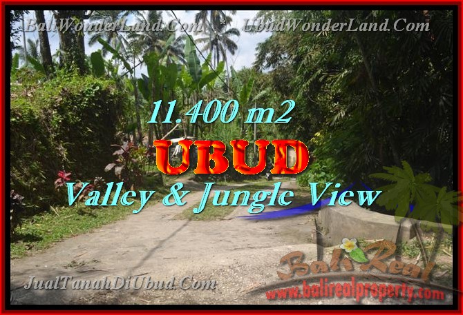 Land for sale in Ubud Bali, Unbelievable view in Ubud Payangan – TJUB431