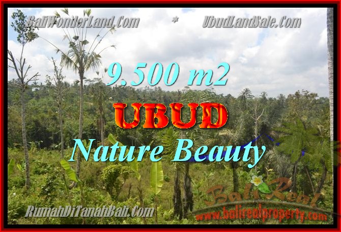 Magnificent Property for sale in Bali, land for sale in Ubud Bali – TJUB430