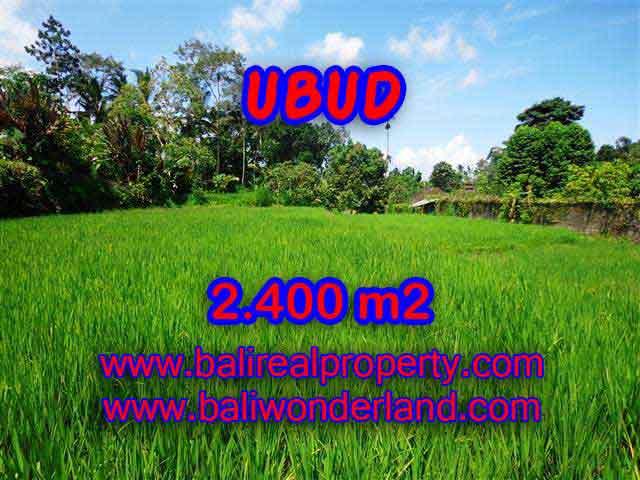 Extraordinary Land for sale in Ubud Bali, Rice paddy view in Ubud Tegalalang– TJUB390