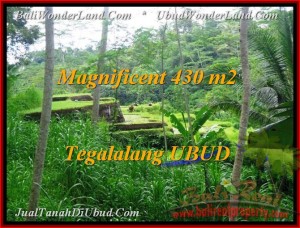 Beautiful 430 m2 LAND IN UBUD BALI FOR SALE TJUB466