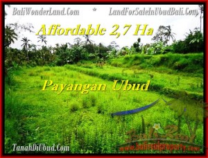 LAND FOR SALE IN Ubud Payangan BALI TJUB469