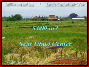 Magnificent PROPERTY LAND FOR SALE IN UBUD TJUB474