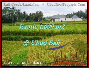 Exotic LAND FOR SALE IN Sentral Ubud BALI TJUB487