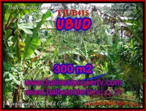 FOR SALE Beautiful 300 m2 LAND IN UBUD TJUB415