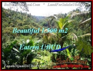 FOR SALE Beautiful PROPERTY 1,500 m2 LAND IN UBUD BALI TJUB503
