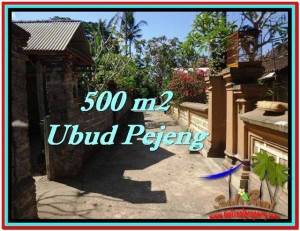 Beautiful 500 m2 LAND IN UBUD BALI FOR SALE TJUB515