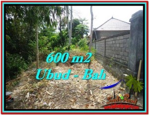 FOR SALE Beautiful LAND IN Sentral Ubud BALI TJUB523