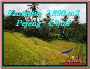 Beautiful 2,800 m2 LAND IN Ubud Tampak Siring FOR SALE TJUB521