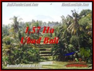 Affordable LAND SALE IN Sentral Ubud BALI TJUB549
