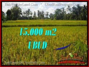 FOR SALE Affordable PROPERTY 15,000 m2 LAND IN UBUD BALI TJUB551