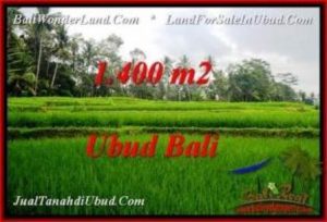 Beautiful PROPERTY Ubud Pejeng 1,400 m2 LAND FOR SALE TJUB539