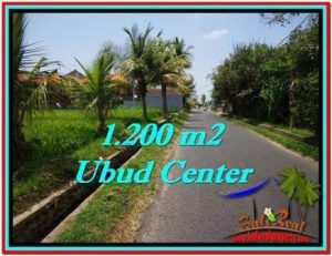 Affordable 1,200 m2 LAND SALE IN UBUD BALI TJUB525