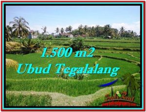 Magnificent UBUD LAND FOR SALE TJUB528