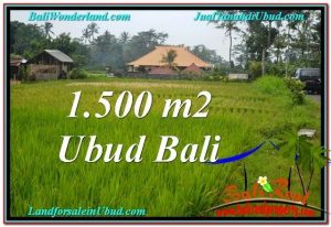 FOR SALE Beautiful 1,500 m2 LAND IN UBUD TJUB558